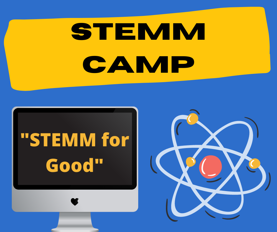 stemm camp